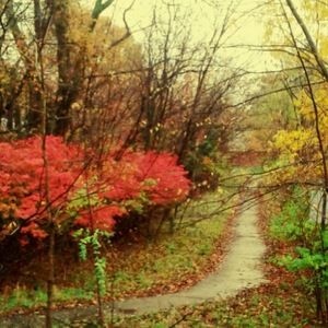 Meet your Posher, Dawn